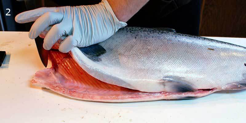 Knifestock BLOG - Como filetar salmão corretamente