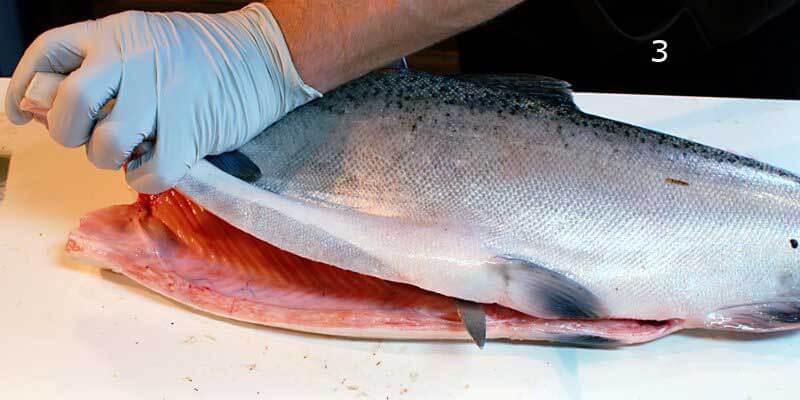 Knifestock BLOG - Como filetar salmão corretamente