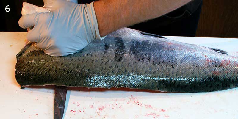 Knifestock BLOG - Como filetar salmão corretamente