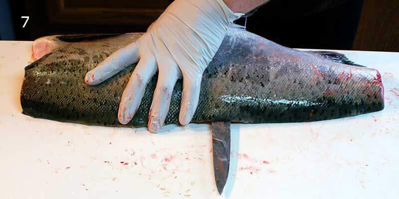 Knifestock BLOG - Como filetar salmão corretamente